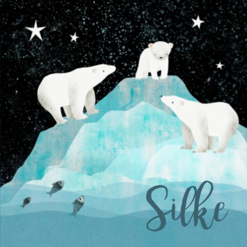 Geboortekaartje Silke ijsbeertjes - SV