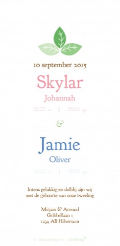 Geboortekaartje Skylar  en  Jamie - GB achter
