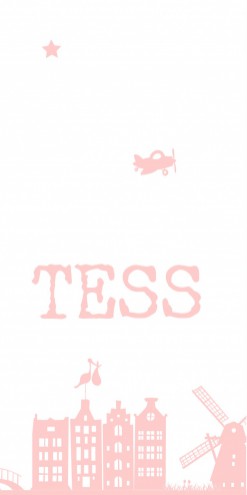 Geboortekaartje skyline Tess - DIY