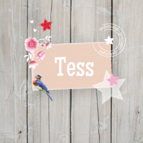 Geboortekaartje sloophout - Tess