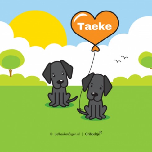 Geboortekaartje Taeke - Gb