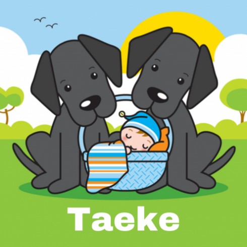 Geboortekaartje Taeke - Gb voor