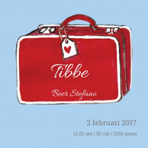 Geboortekaartje Tibbe - EB