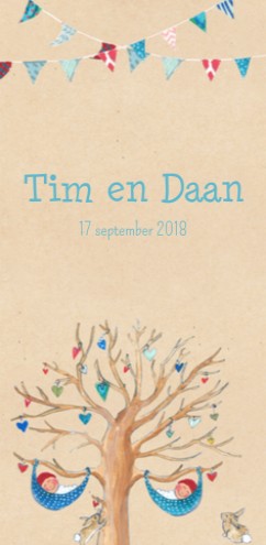 Geboortekaartje Tim en Daan - EB voor