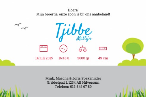 Geboortekaartje Tjibbe - GB