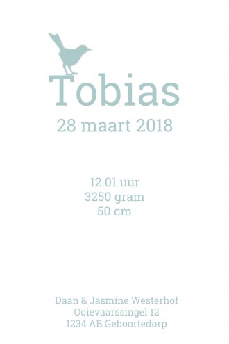 Geboortekaartje Tobias - GA