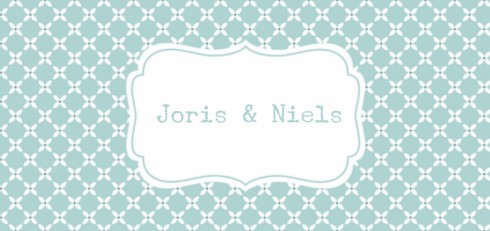 Geboortekaartje tweeling Joris en Niels - LD