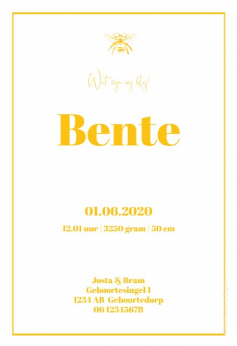 Geboortekaartje Typeface Bente - DIY