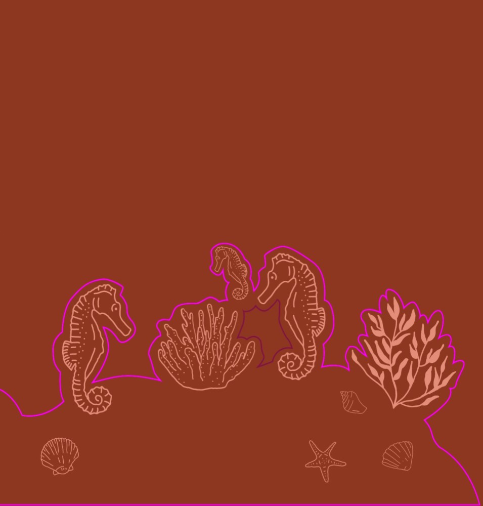 Geboortekaartje unisex met zeepaartjes onderwater in unieke 3D vorm - Julius