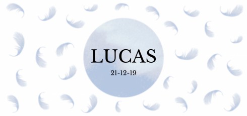 Geboortekaartje veertjes Lucas - DIY
