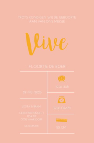 Geboortekaartje achterkaartje in roze - Vive