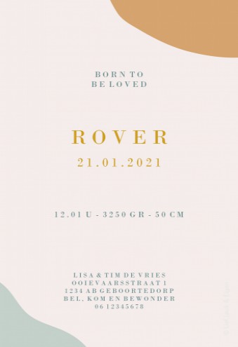 Geboortekaartje met vlekjes patroon - Rover
