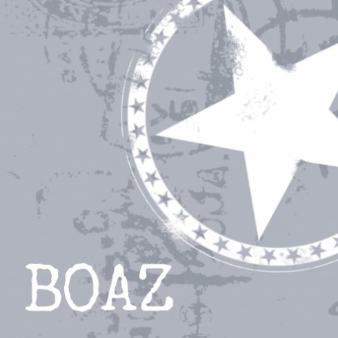 Geboortekaartje vliegtuig Boaz - LD