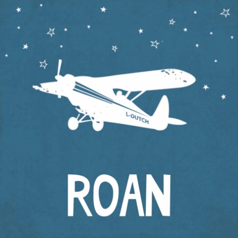 Geboortekaartje vliegtuig Roan - LD