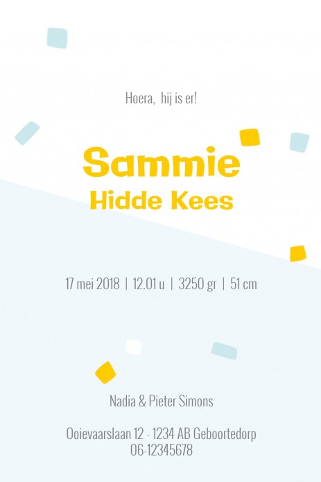 Geboortekaartje wasbeertje Sammie - HK