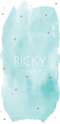 Geboortekaartje watercolor Ricky - LD