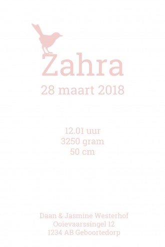Geboortekaartje Zahra - GA binnen