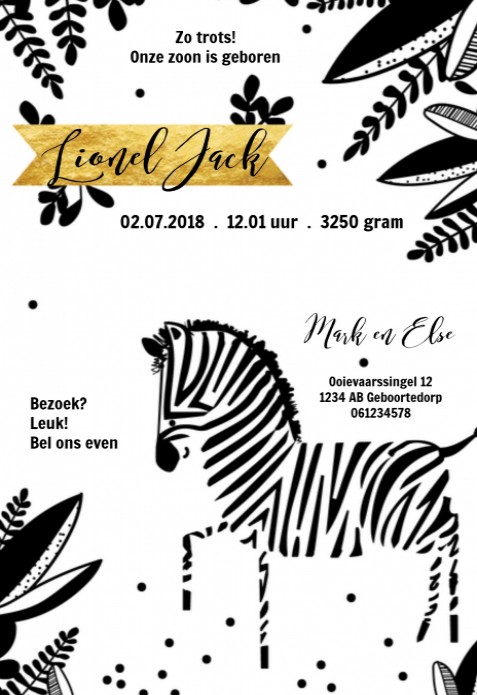 Geboortekaartje hip zebra zwart wit - Lionel