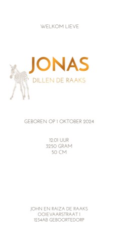 Geboortekaartje met zebraprint in beige tinten - Jonas achter