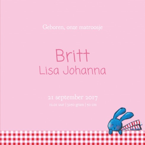 Geboortekaartje Britt met zus - JH