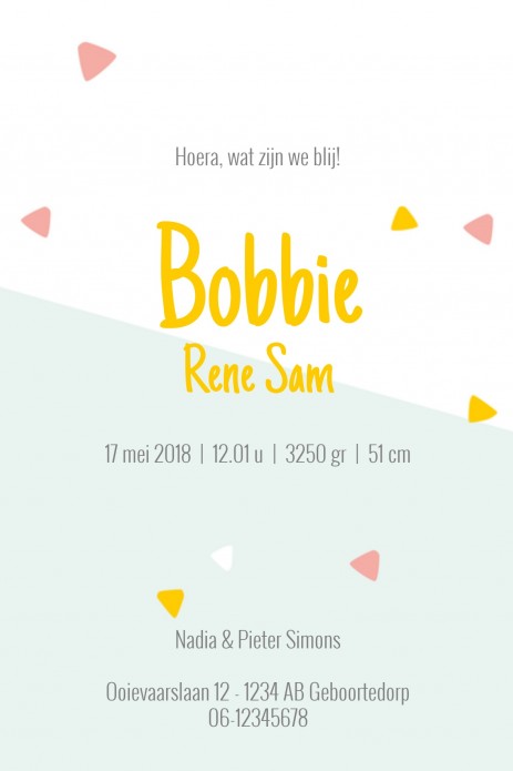 Geboortekaartje zwaan Bobbie - HK