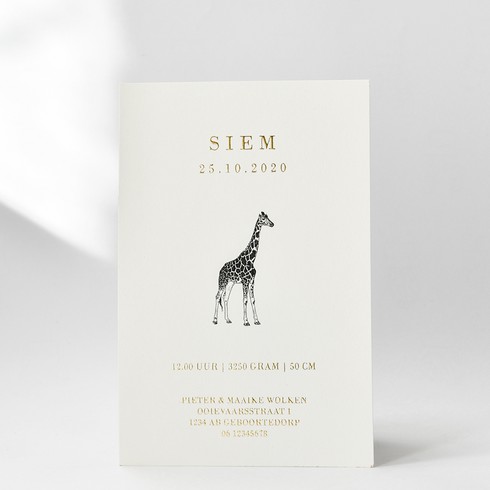 Klassiek geboortekaartje met giraf en goudfolie - Siem