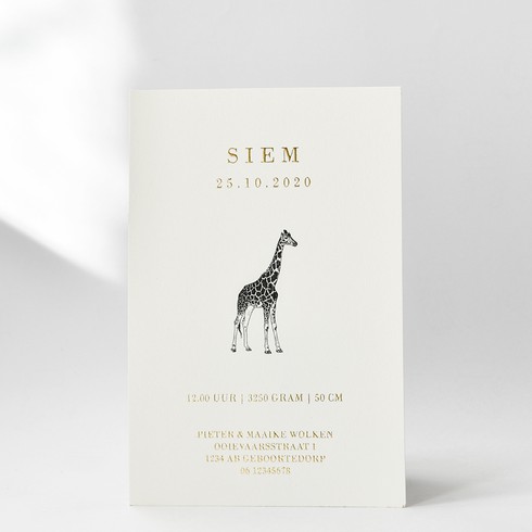 Klassiek geboortekaartje giraf - Siem