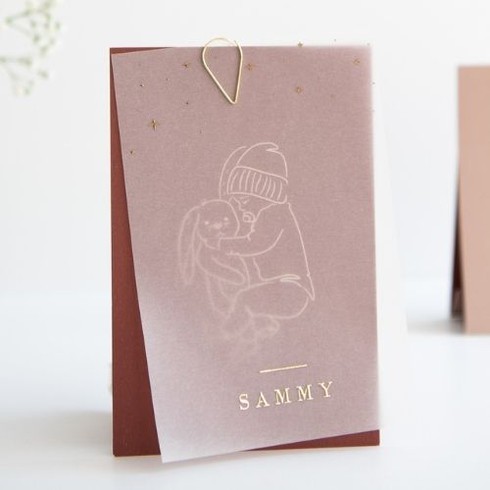 Geboortekaartje kalkpapier - konijn knuffel lijntekening - Sammy (1 van 2)