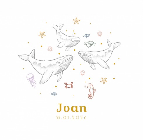 Geboortekaartjes walvis oceaan enkel - Joan voor