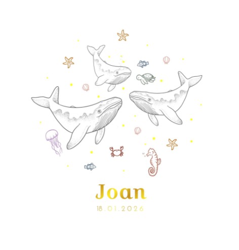 Geboortekaartjes walvis oceaan - Joan voor