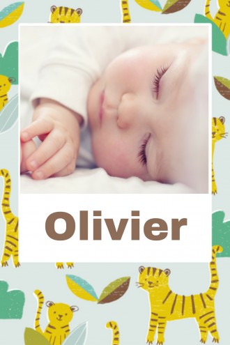 Hip geboortekaartje Olivier - CV