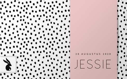 Geboortekaartje Dots Jessie - MC voor