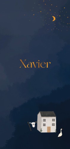Jongens geboortekaartje met aquarel in het nachtblauw met lieve illustraties - Xavier