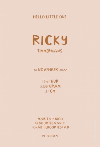 Jongenskaartje minimalistisch bruin - Ricky achter