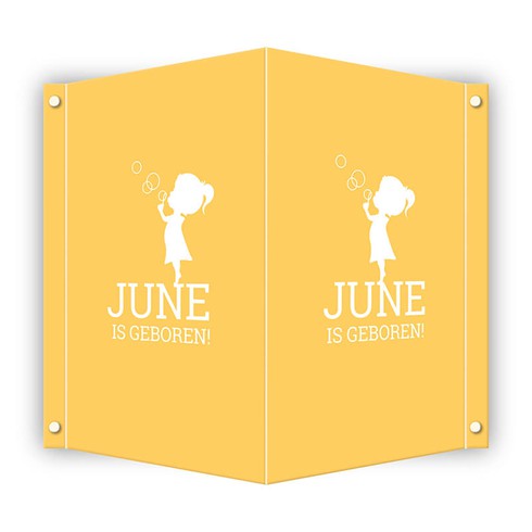 Geboortebord DIY - June
