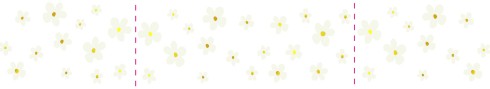 Kalkwikkel met bloemen en goud folie voor 10 cm kaart - Livia