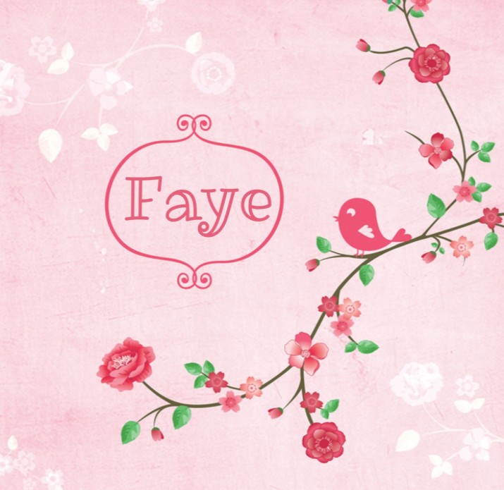 Kraamkaartje Faye - LD