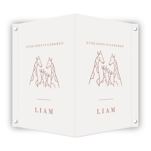 Liam-geboortebord-50x70