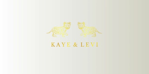 Lief geboortekaartje tweeling - Kaye en Levi