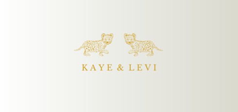 Lief geboortekaartje tweeling - Kaye en Levi voor