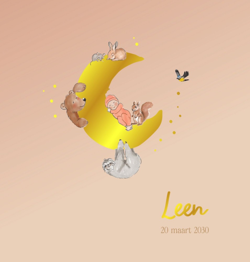 Lief illustratief geboortekaartje diertjes maan - Leen