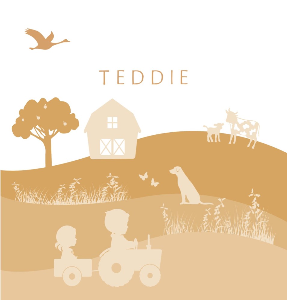 Geboortekaartje meisje op de boerderij met grote broer en hondje - Teddie