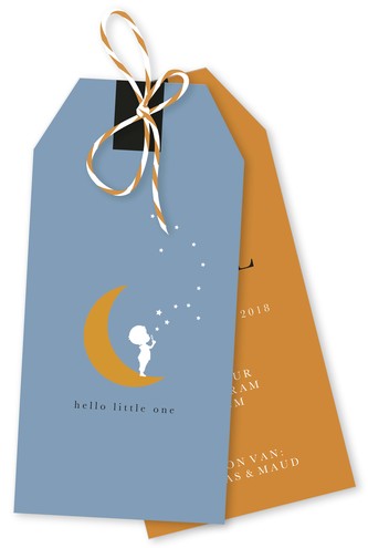 Label geboortekaartje met maan en sterren in trendy kleuren - Abel