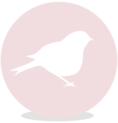 Sluitsticker DIY - roze vogeltje voor