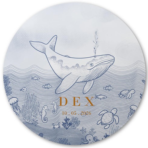 Onderwaterwereld ronde raamsticker 100x100 - Dex voor