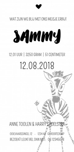 Geboortekaartje met zebra  -  Sammy achter