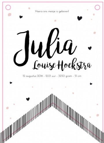Vaandel geboortekaartje - Julia binnen