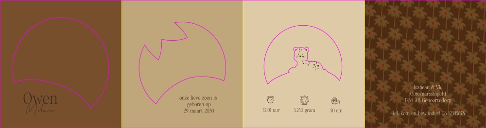 vierluik doorkijkje tijger uniek kaartje