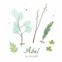 Geboortekaartje Abel - SV