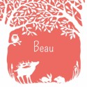 Geboortekaartje Beau - GA